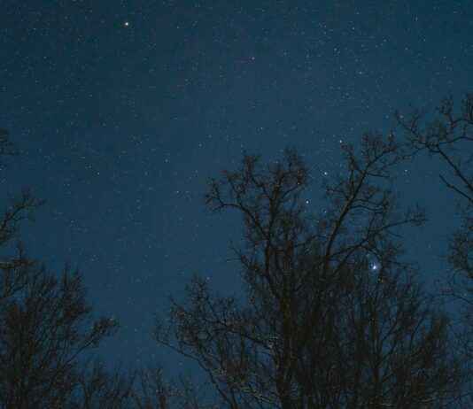 Danimarka’nın En Güzel Kış Manzaraları Danimarka'nın En Güzel Kış Manzaraları