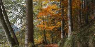 Danimarka’nın En Güzel Yürüyüş Parkurları Danimarka'nın En Güzel Yürüyüş Parkurları