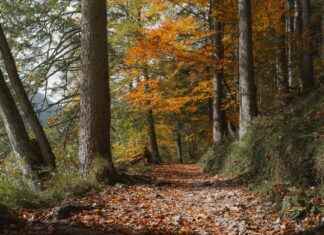 Danimarka’nın En Güzel Yürüyüş Parkurları Danimarka'nın En Güzel Yürüyüş Parkurları