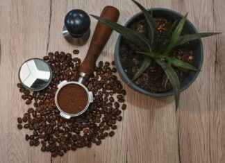 Danimarka’nın En İyi Kahve Dükkanları: Kahveseverler İçin Danimarka'nın En İyi Kahve Dükkanları: Kahveseverler İçin