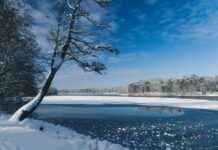 Danimarka’nın En İyi Kütüphaneleri: Kitap Severler İçin Danimarka'nın En İyi Kütüphaneleri: Kitap Severler İçin