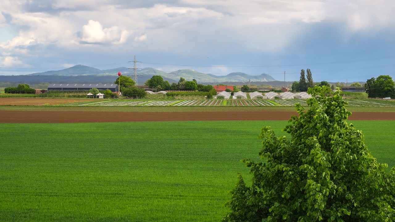 Köln'ün Tarihi Merkezinde Yürüyüş