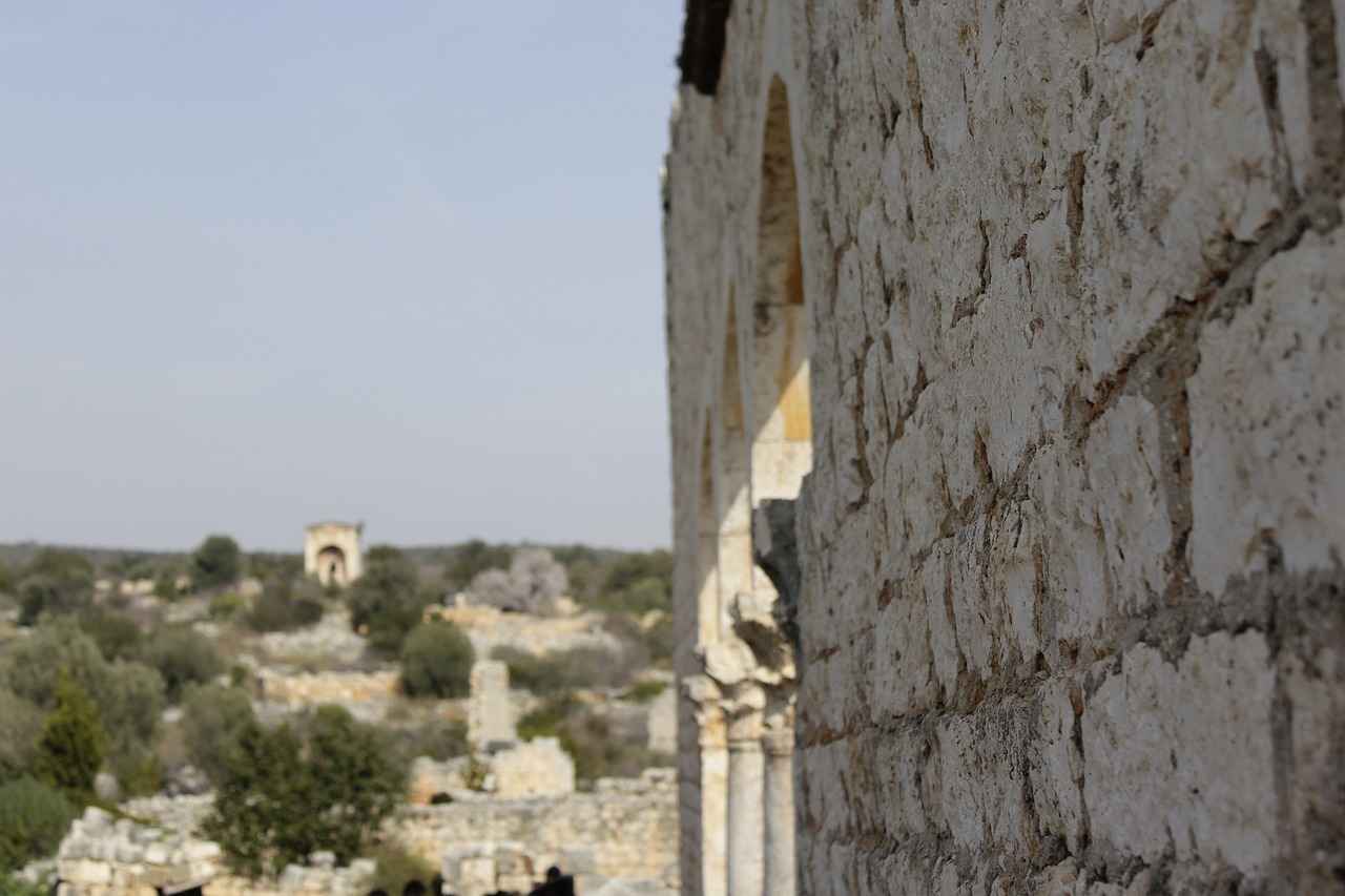 Hangi Vize Türleri Mevcuttur?