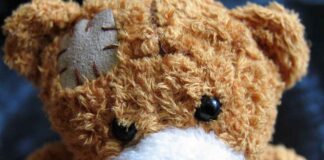 Türkiye Almanya Voleybol Maçı Tarihi ve Saati Türkiye Almanya Voleybol Maçı Tarihi ve Saati