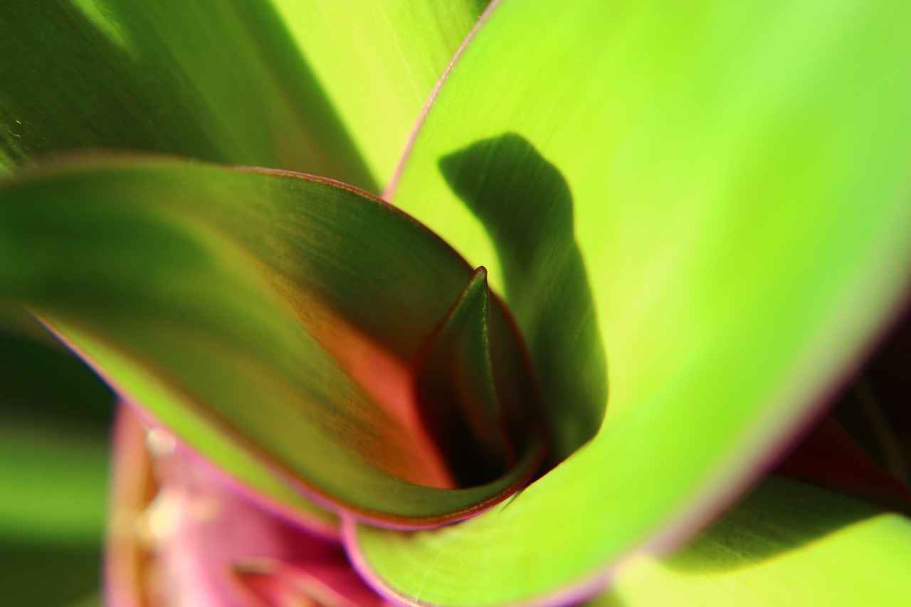 Vize İşlem Süresi Ne Kadardır?