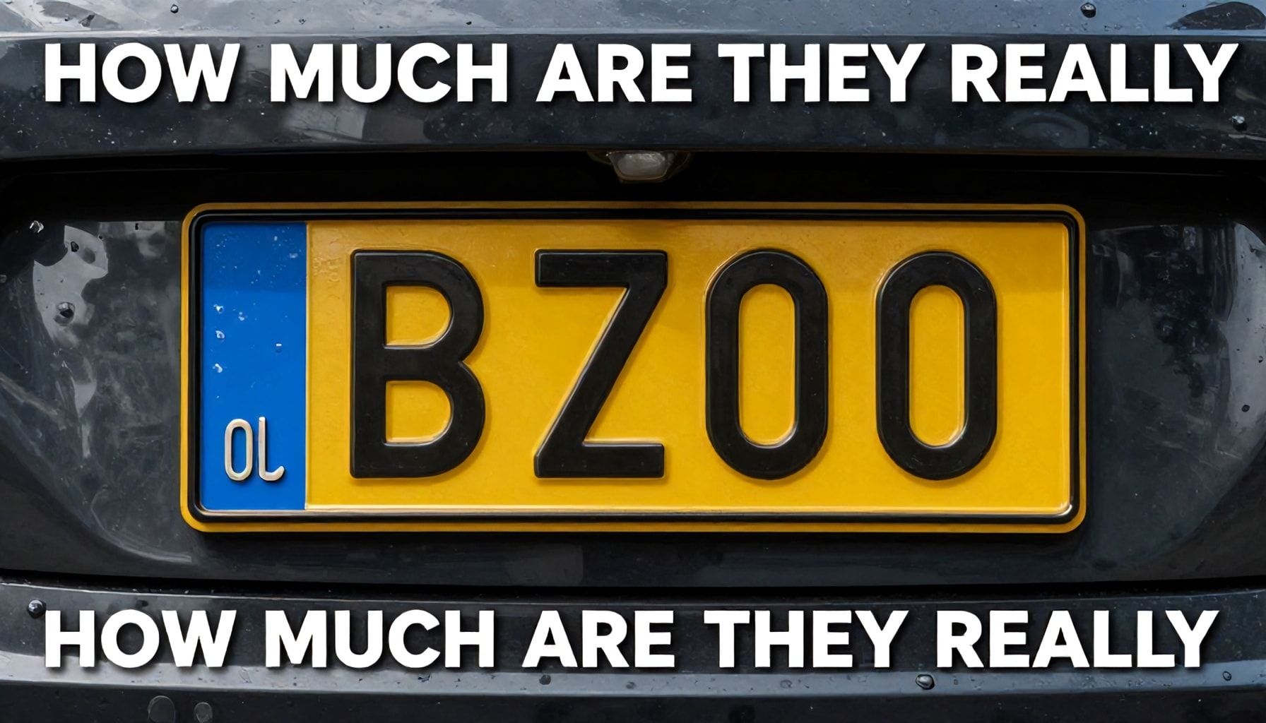 Almanya Plakası Fiyatları: Gerçekten Ne Kadar?*