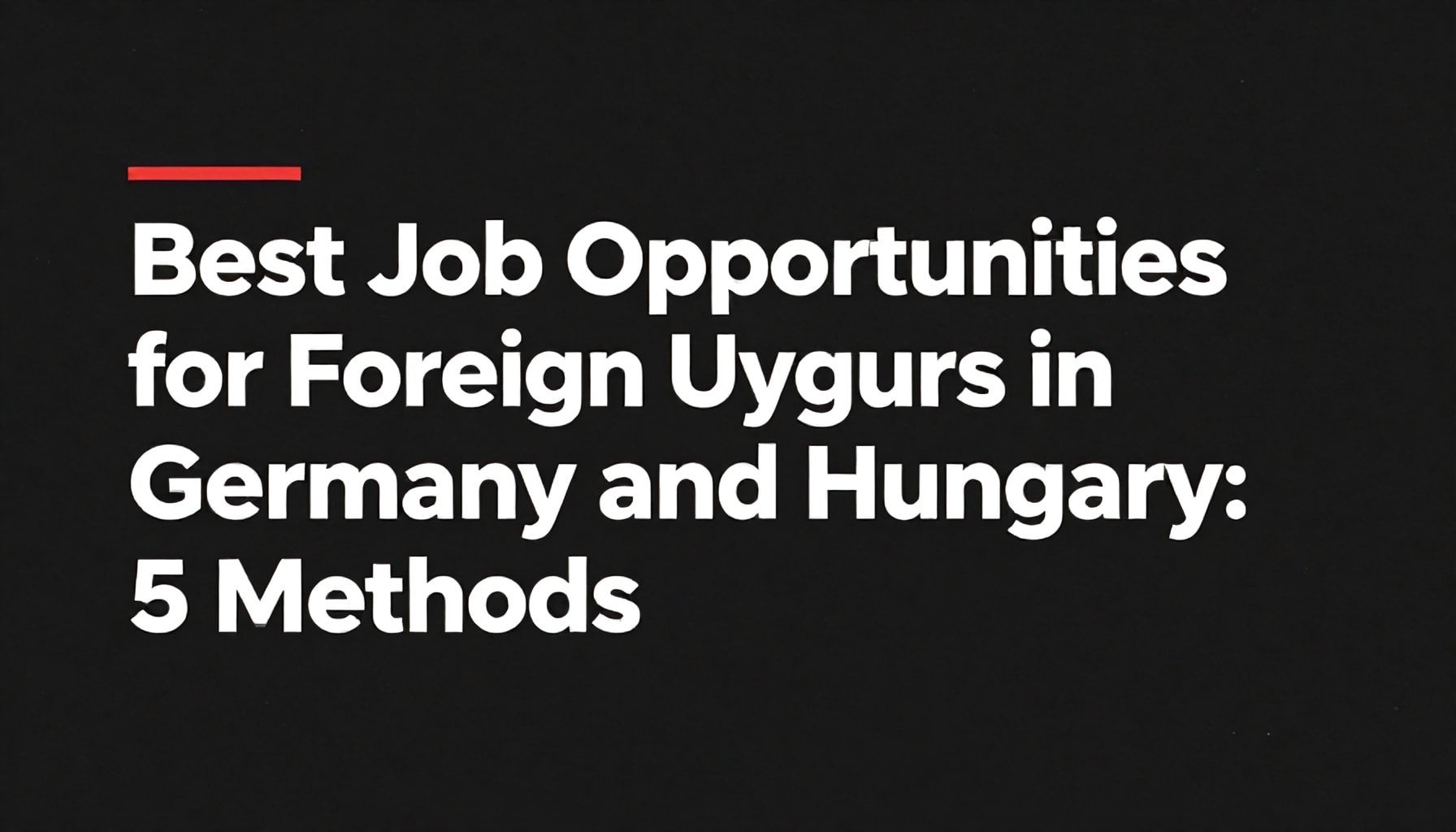Almanya ve Macaristan'da Yabancı Uygurlar İçin En İyi İş Fırsatları: 5 Yöntem*