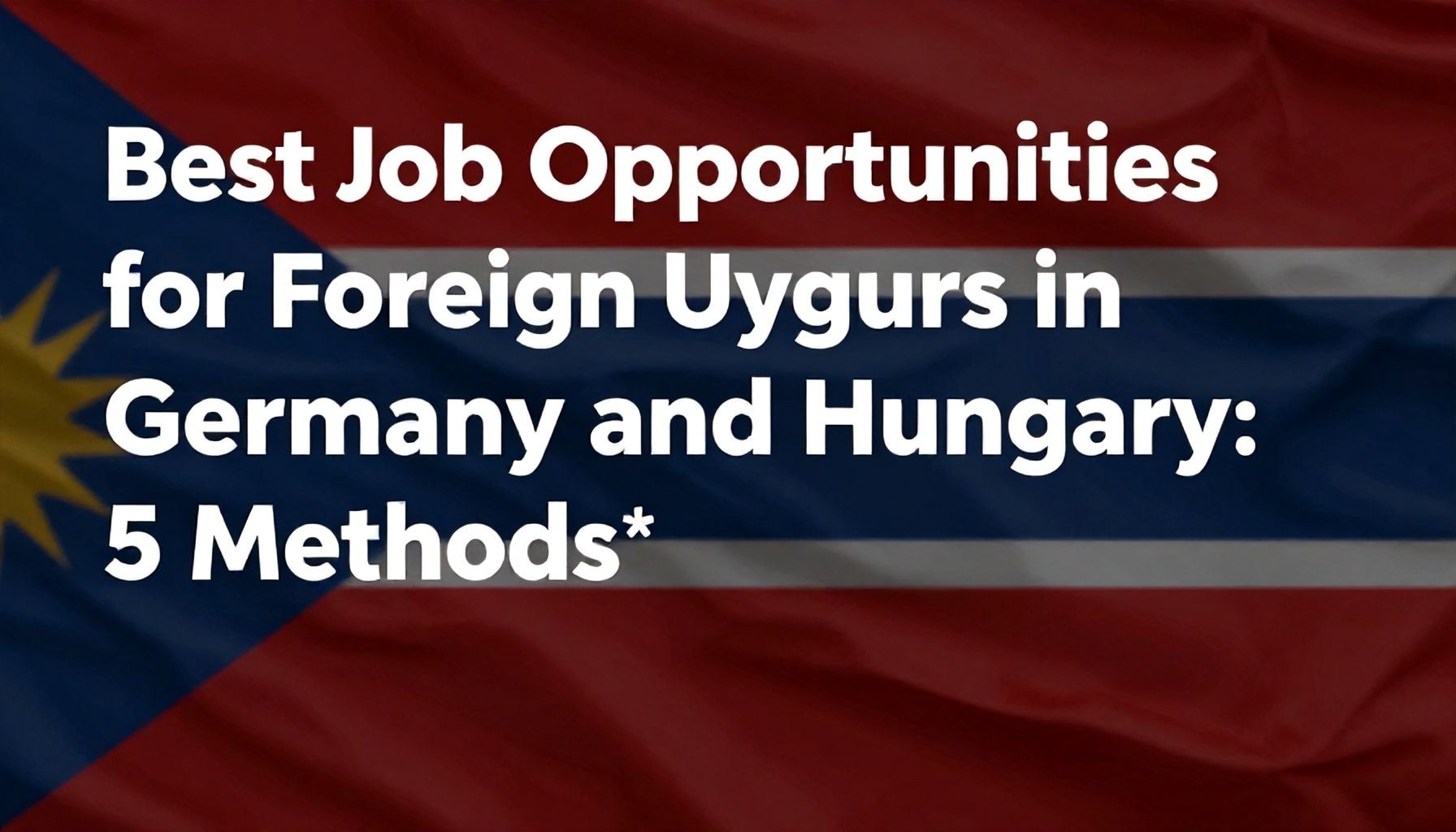 Almanya ve Macaristan'da Yabancı Uygurlar İçin En İyi İş Fırsatları: 5 Yöntem*
