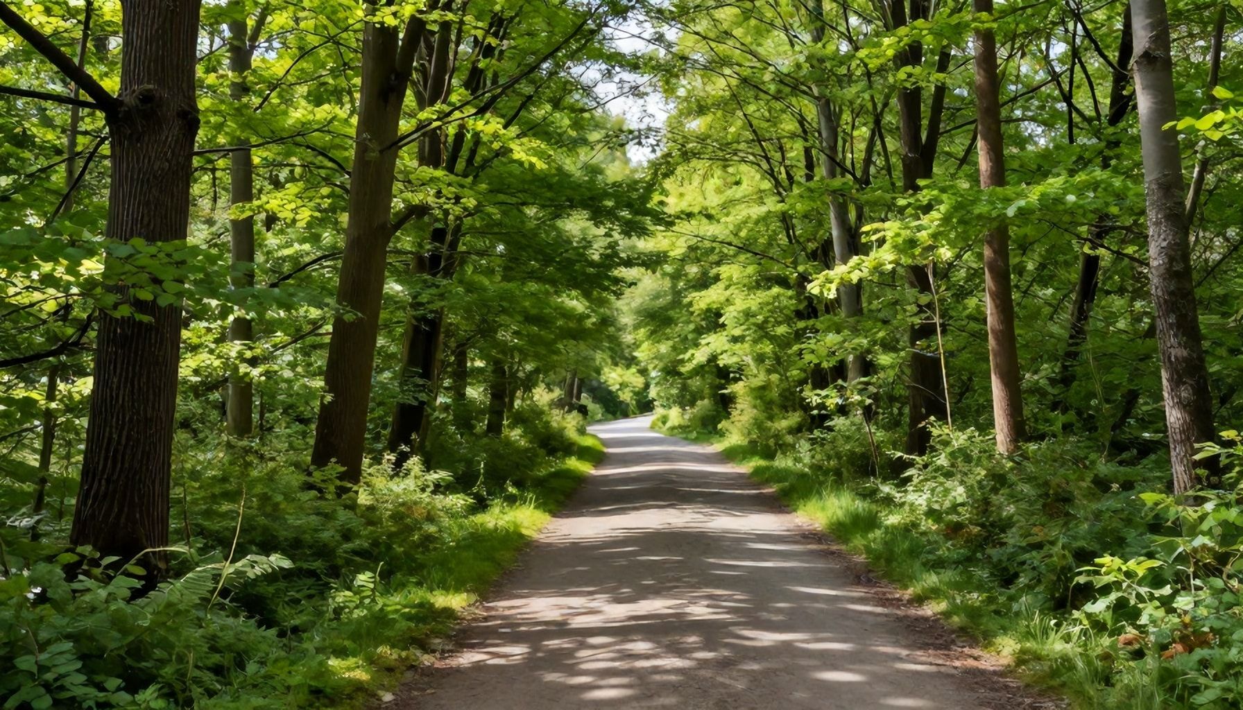 Köln'de Doğal Güzellikleri Keşfedin: 3 Unutulmaz Doğa Yürüyüşü*