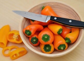 Adapazarı’nda Sağlıklı Yaşam Trendleri: Neler Değişiyor, Neler Kalıcı? Healthy Living Trends in Adapazarı