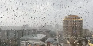 Şangay’da Yağmur Mı, Kumsalda Güneş mi? Bugün Şehrin Hava Durumu Şangay'da Yağmur Mı, Kumsalda Güneş mi? Bugün Şehrin Hava Durumu lifestyle