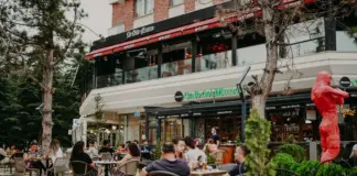 Hochwertige Gastartikel: açık ve güvenilir kaynaklar nasıl seçilir Hochwertige Gastartikel: açık ve güvenilir kaynaklar nasıl seçilir lifestyle