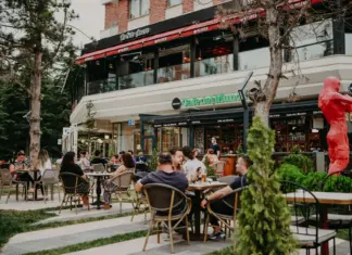 Hochwertige Gastartikel: açık ve güvenilir kaynaklar nasıl seçilir Hochwertige Gastartikel: açık ve güvenilir kaynaklar nasıl seçilir lifestyle