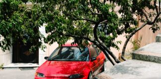 Honda Accord ile Off-Road’a Çıkıyor Musunuz? İşte Öncelikli Bilinmesi Gerekenler Honda Accord ile Off-Road'a Çıkıyor Musunuz? İşte Öncelikli Bilinmesi Gerekenler lifestyle