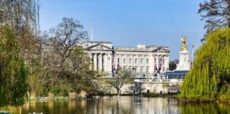 Kraliyet Ailelerinin Gizli Gelişimleri: Londra’da Fuar Haberleri ve Gerçekler Kraliyet Ailelerinin Gizli Gelişimleri: Londra'da Fuar Haberleri ve Gerçekler lifestyle